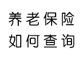 濟南個人養老保險如何查詢繳費明細