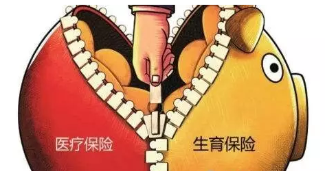 生育、醫療保險合并實施試點