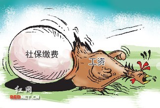 公司繳納的社保，還不如換成現金給我合適，這樣真的對嗎？